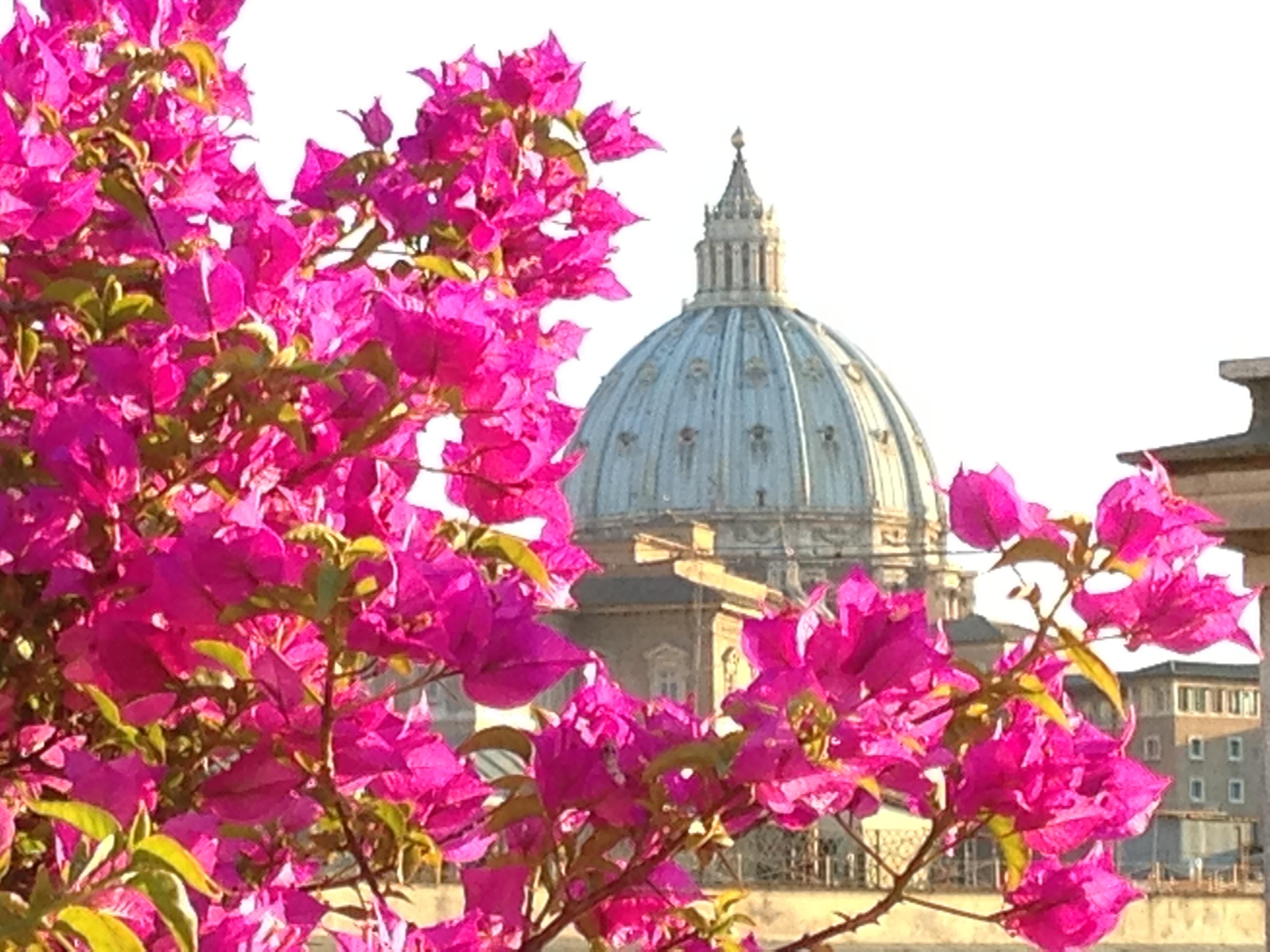 Dei Consoli Vaticano Hotel Roma